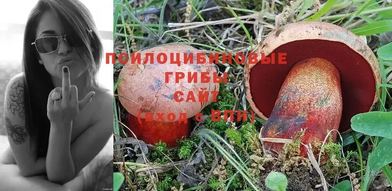 Псилоцибиновые грибы Psilocybe  Мамадыш 